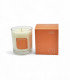 Bougie à la cire de soja Figuier - Citron Collection Contemporaine