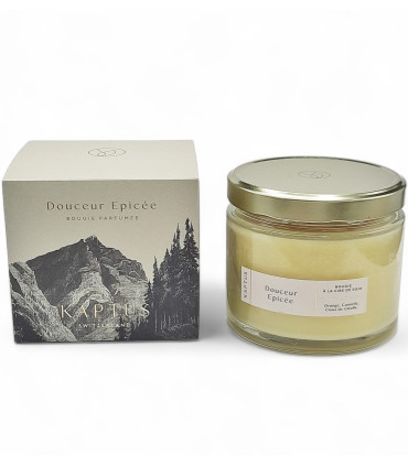 Candela in cera di soia Dolcezza speziata. Collezione d'oro