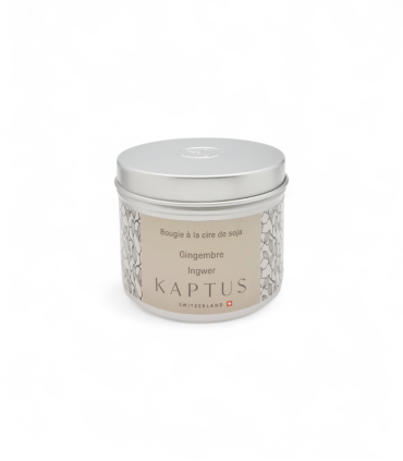 Candela in cera di soia Zenzero. Collezione viaggio