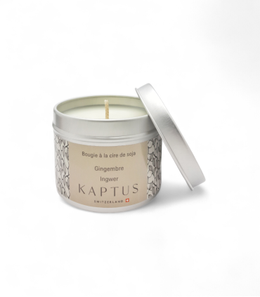 Candela in cera di soia Zenzero. Collezione viaggio