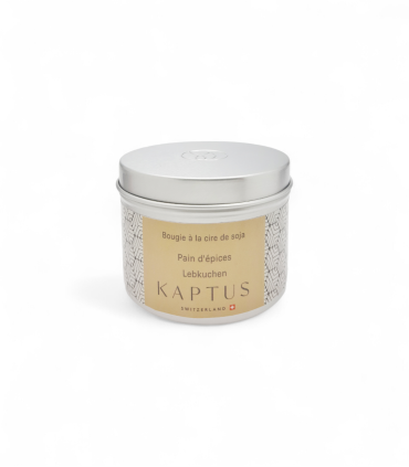 Candela in cera di soia Pan di zenzero. Collezione viaggio