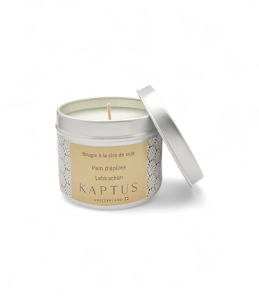 Lebkuchen Soja-Wachs-Kerze. Reisekollektion