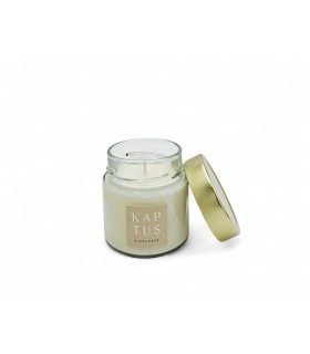 Ingwer Soja-Wachs-Kerze. Zeitlose Kollektion