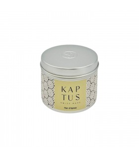 Bougie parfumée Pain d'épices de la collection Voyage